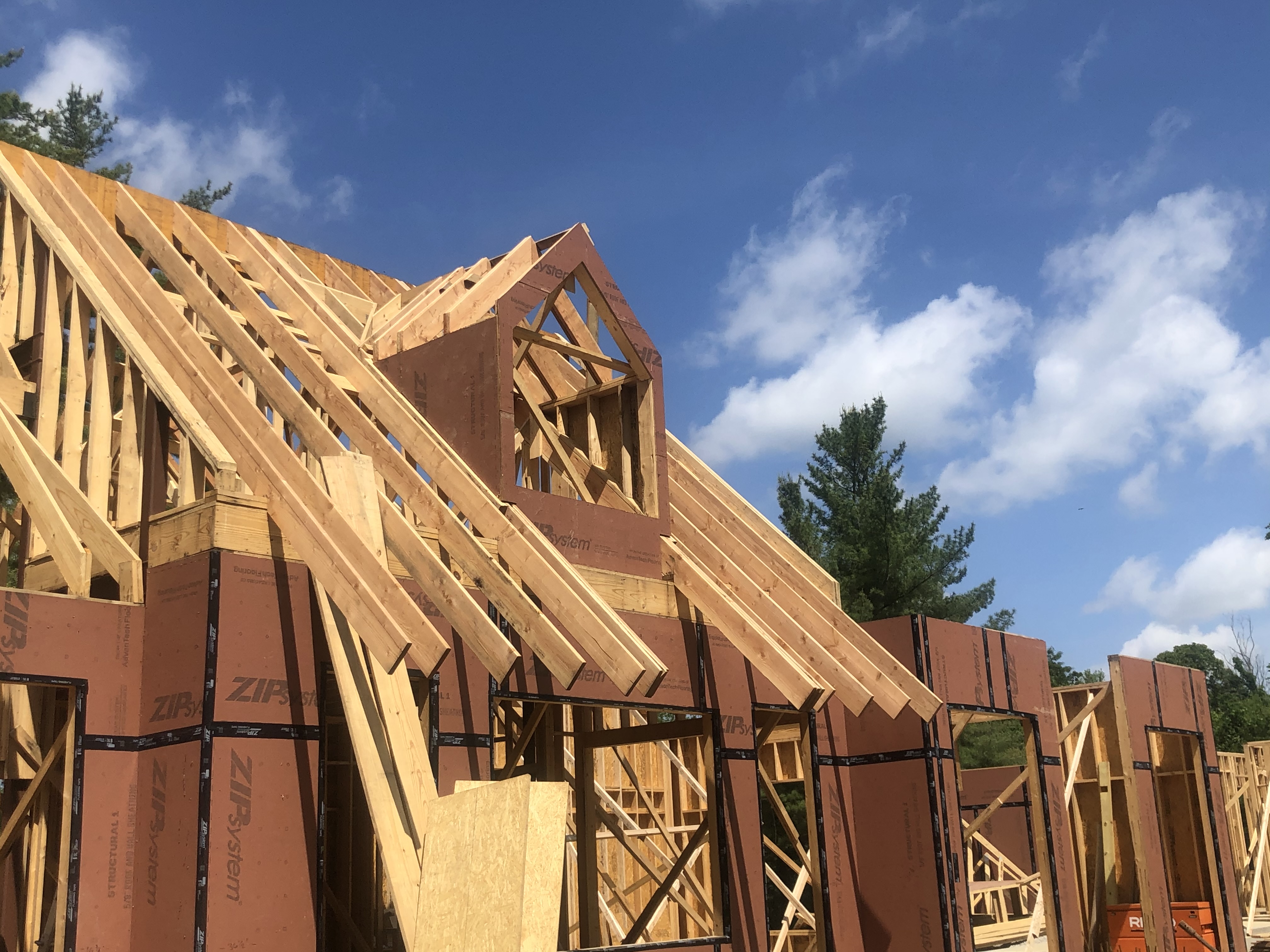 The Benefits of Building with Douglas Fir